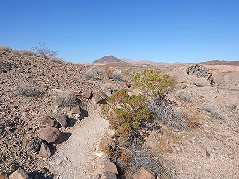 bluff trail