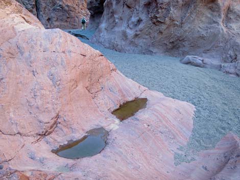 Boy Scout Canyon