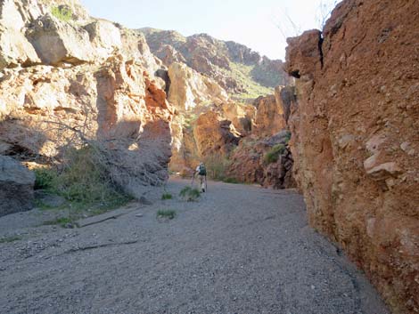 Boy Scout Canyon