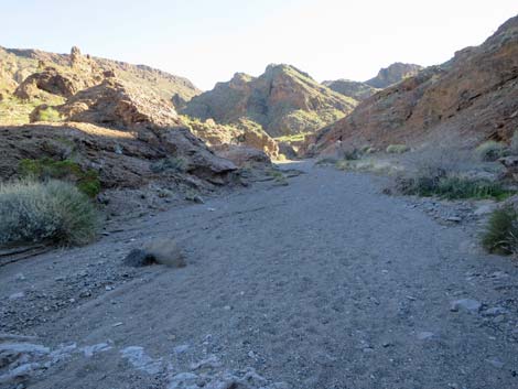 Boy Scout Canyon