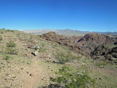 Colorado River Overlook