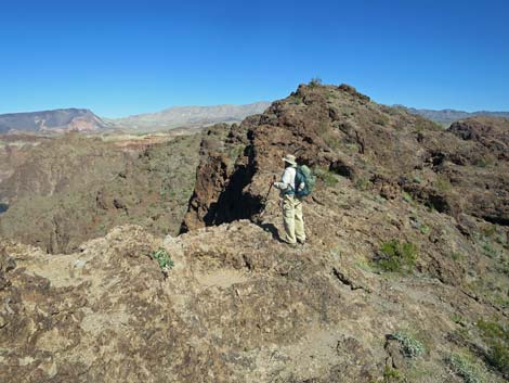 Colorado River Overlook