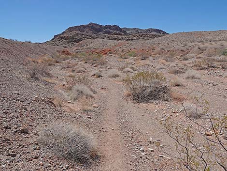 Cottonwood Spring