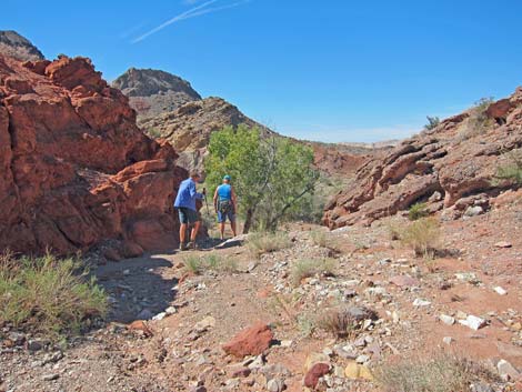 Cottonwood Wash