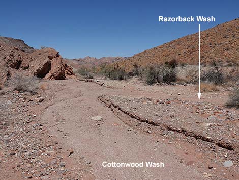 Cottonwood Wash