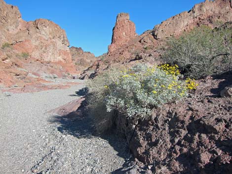 Cranes Nest Canyon