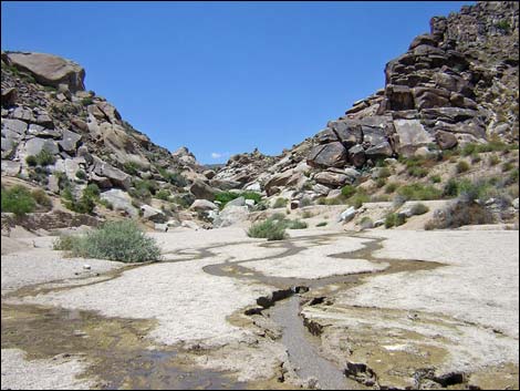 Grapevine Canyon