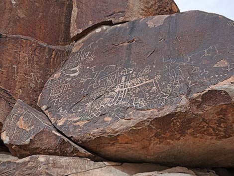 Grapevine Canyon Petroglyphs