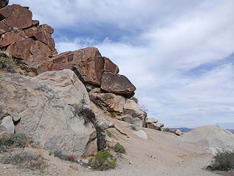 Grapevine Canyon Petroglyphs