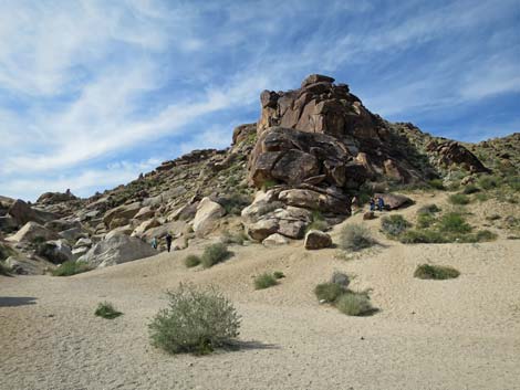 Grapevine Canyon Petroglyphs