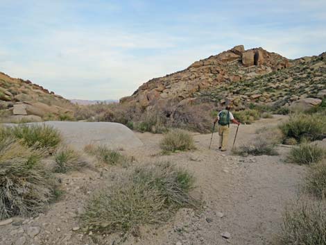 Grapevine Canyon