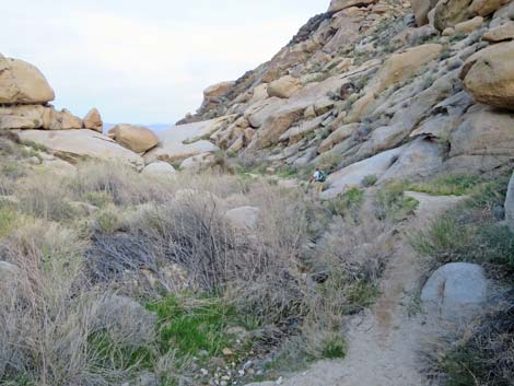 Grapevine Canyon