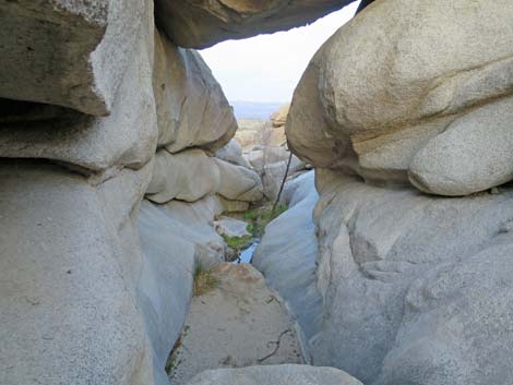 Grapevine Canyon