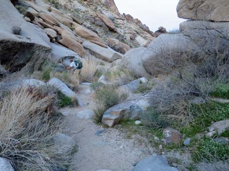 Grapevine Canyon