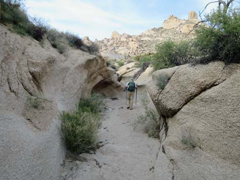 Grapevine Canyon