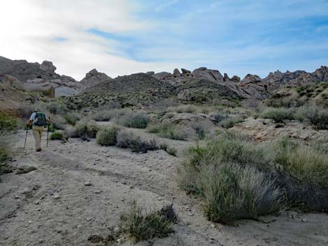 Grapevine Canyon