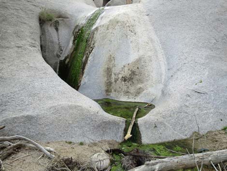 Grapevine Canyon