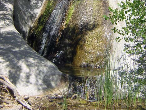 Grapevine Canyon