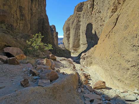 Arizona Hot Spring