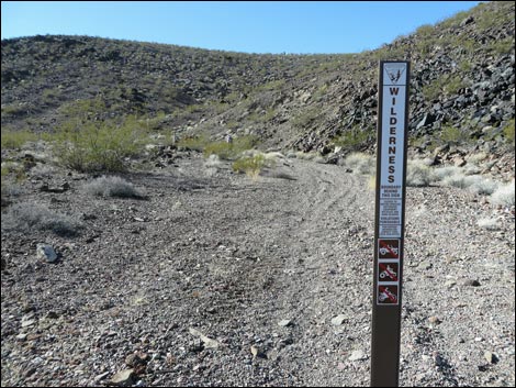 Lonesome Wash Overlook