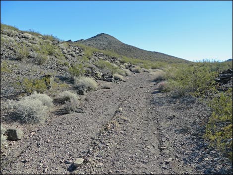 Lonesome Wash Overlook