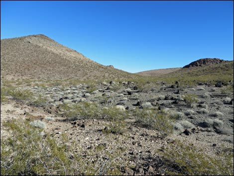 Lonesome Wash Overlook