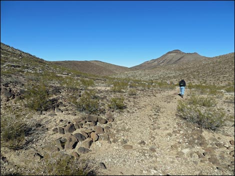 Lonesome Wash Overlook