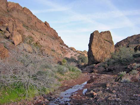 Natural Bridge