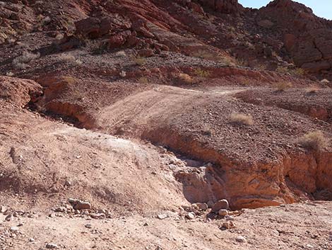 Red Needle Trail