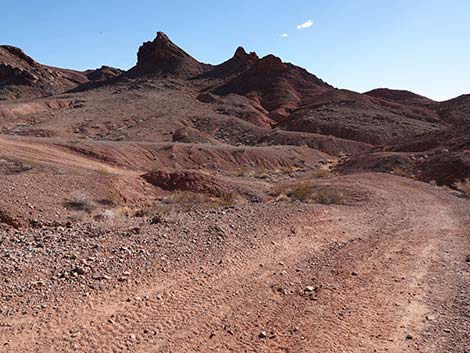 Red Needle Trail