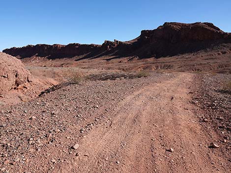 Red Needle Trail