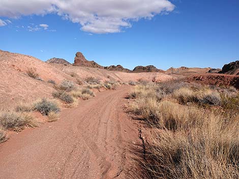 Red Needle Trail