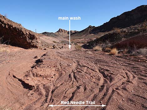 Red Needle Trail