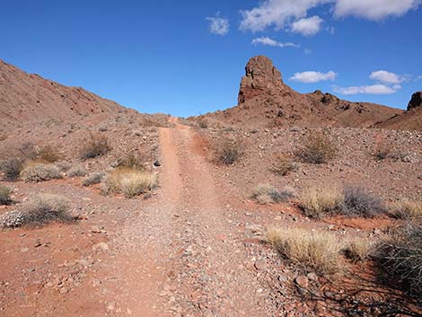 Red Needle Trail