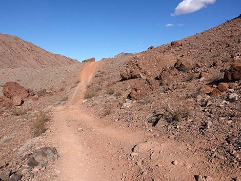 Red Needle Trail