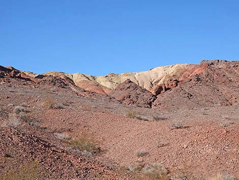 Red Needle Trail