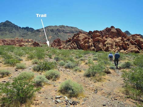 Redstone Dune Loop Trail