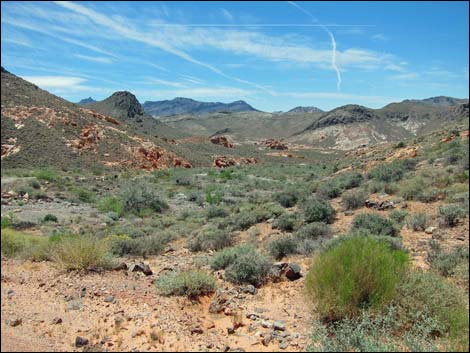 Bitter Springs Byway