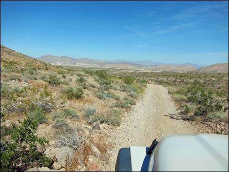 Bitter Springs Byway