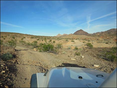 Callville Wash South Road