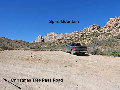 Christmas Tree Pass Road