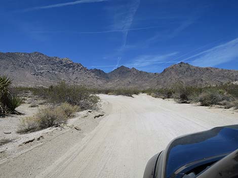 Christmas Tree Pass Road