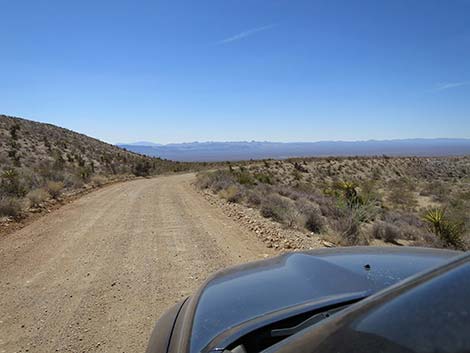 Christmas Tree Pass Road