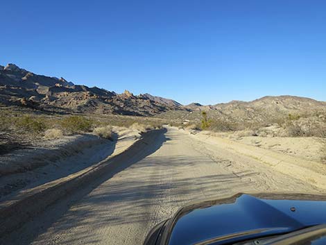 Christmas Tree Pass Road