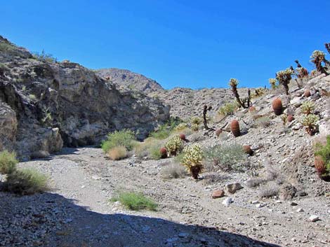 Camp Dupont Mine Road