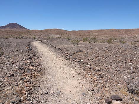 Wetlands Trail