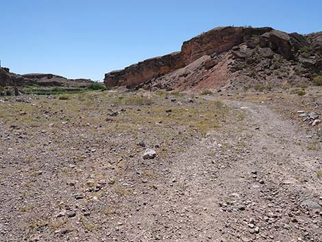 Wetlands Trail