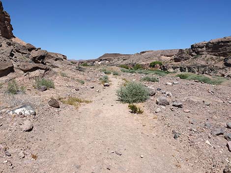 Wetlands Trail