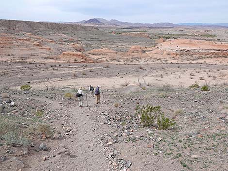 White Owl Canyon