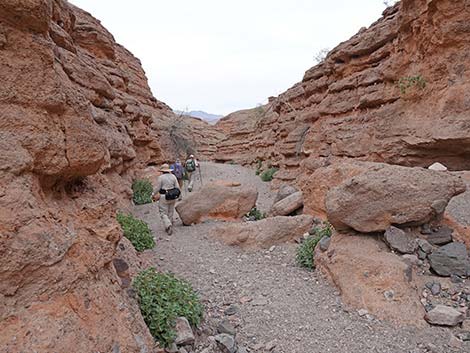 White Owl Canyon